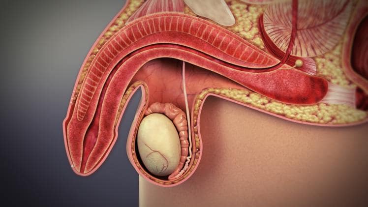 How serious is erectile dysfunction?