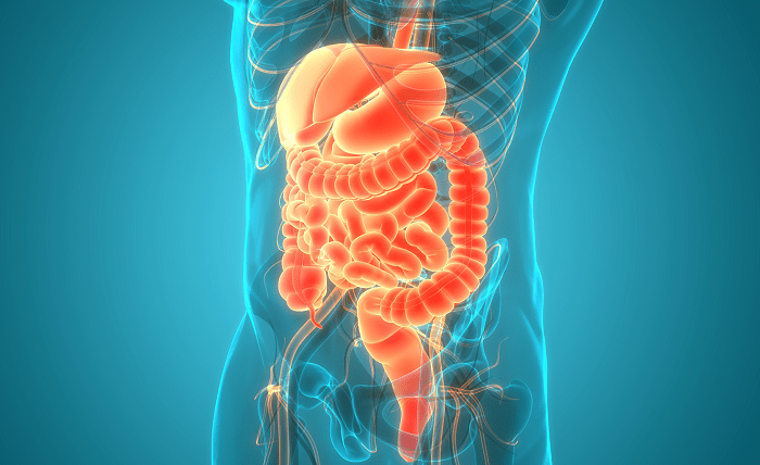 A Guide to Understanding Roux-en-Y Gastrojejunostomy