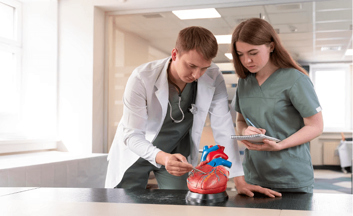 The Role of Cardiologists in Heart Health