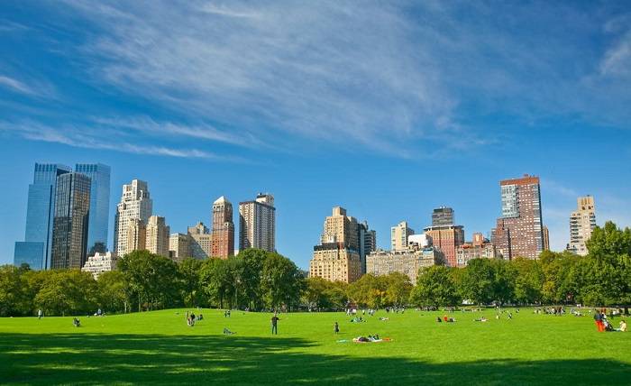 New York Regulators Can’t Seem to Get It Right on Herbal plant